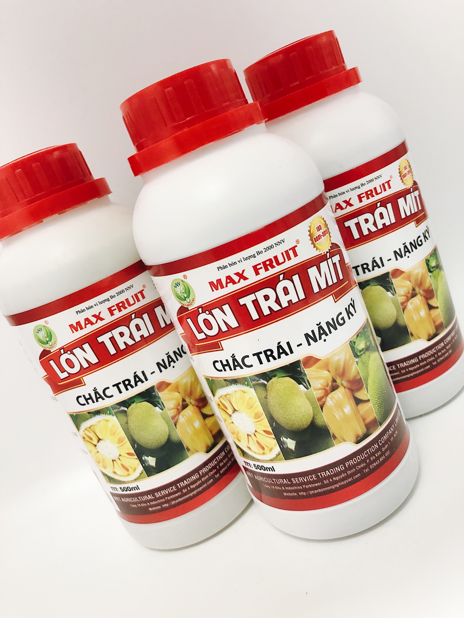 SIÊU LỚN TRÁI MÍT - MAX FRUIT