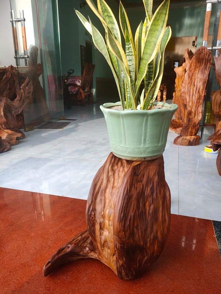 Đôn lũa ngọc am đỏ Hà Giang