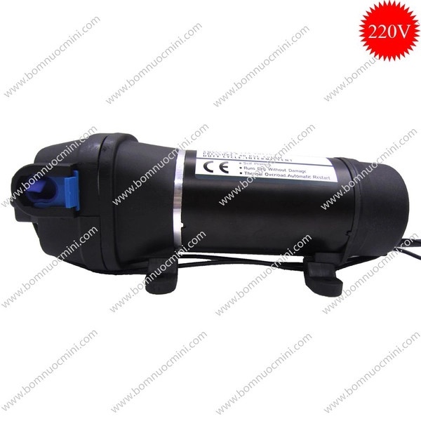 Máy Bơm Áp Lực SURGEFLO 220V FL-43