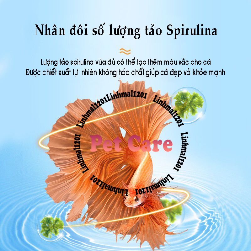 Thức ăn đặc biệt cho cá chọi betta