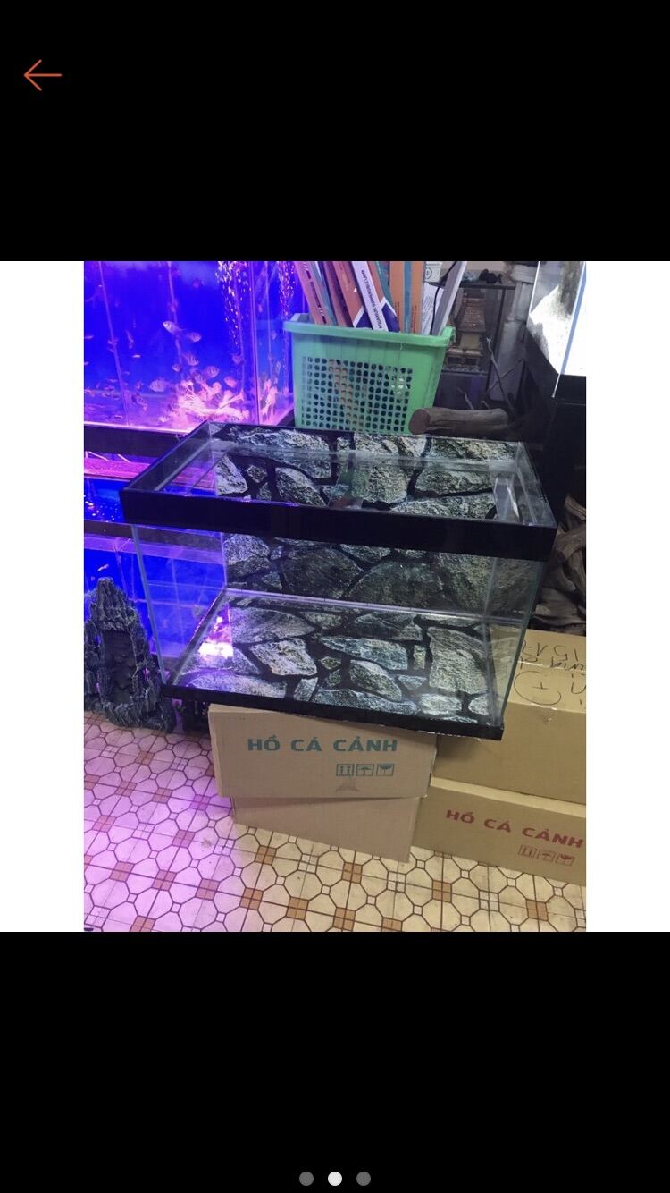 [FreeshipMAX] Hồ cá . Bể cá. Rẻ đẹp bền . 50 * 35 * 35