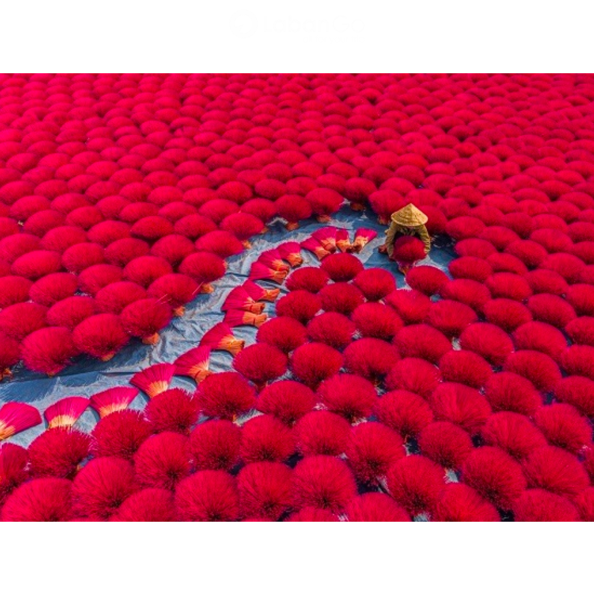 Tour tham quan Huế 1 ngày từ Đà Nẵng