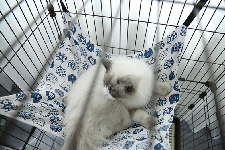 VÕNG CHO MÈO NHIỀU KÍCH THUỚC