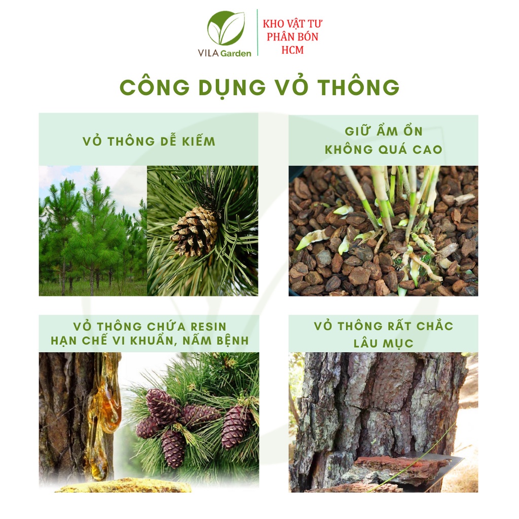 Vỏ Thông Xay Bo size 3-4cm (Túi 1kg)
