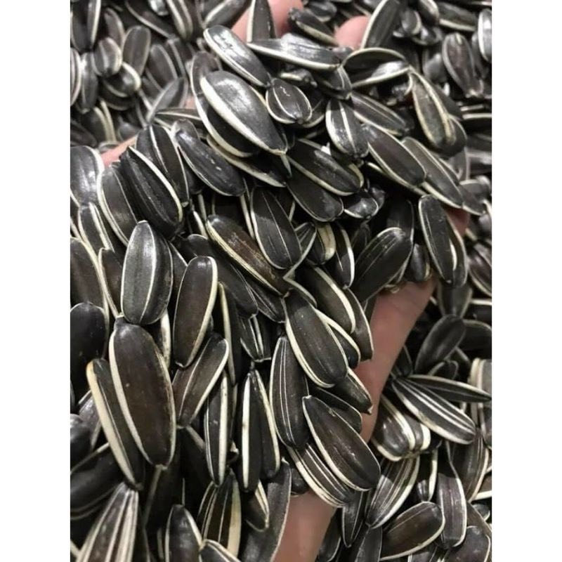 Sỉ 1 kg Hướng dương đen