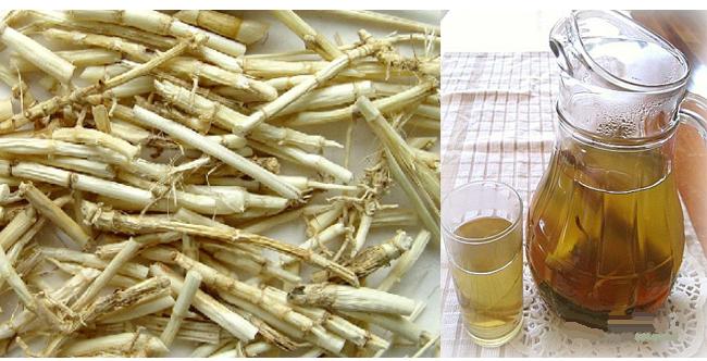 100Gr Tranh Root (Tranh Grass Root)