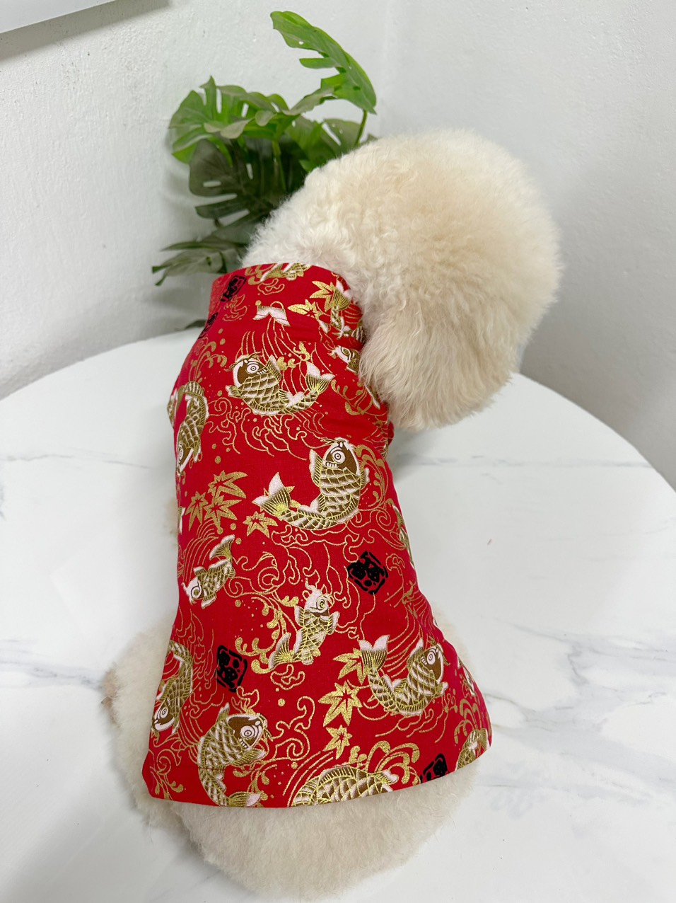 Áo dài Tết gấm rồng cho chó mèo