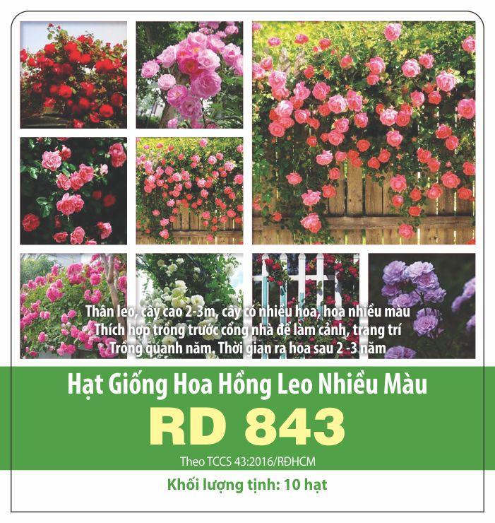 Hạt giống hoa hồng leo nhiều màu gói