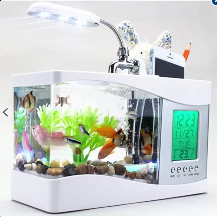 Bể Cá Mini [Đồng Hồ + Đèn Bàn + Sỏi, Cây Thủy Sinh] Bể cá để bàn - Hồ cá