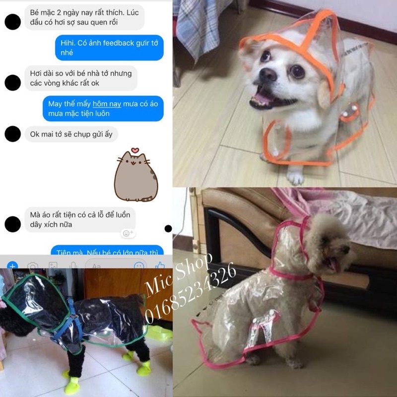 Áo mưa cho thú cưng