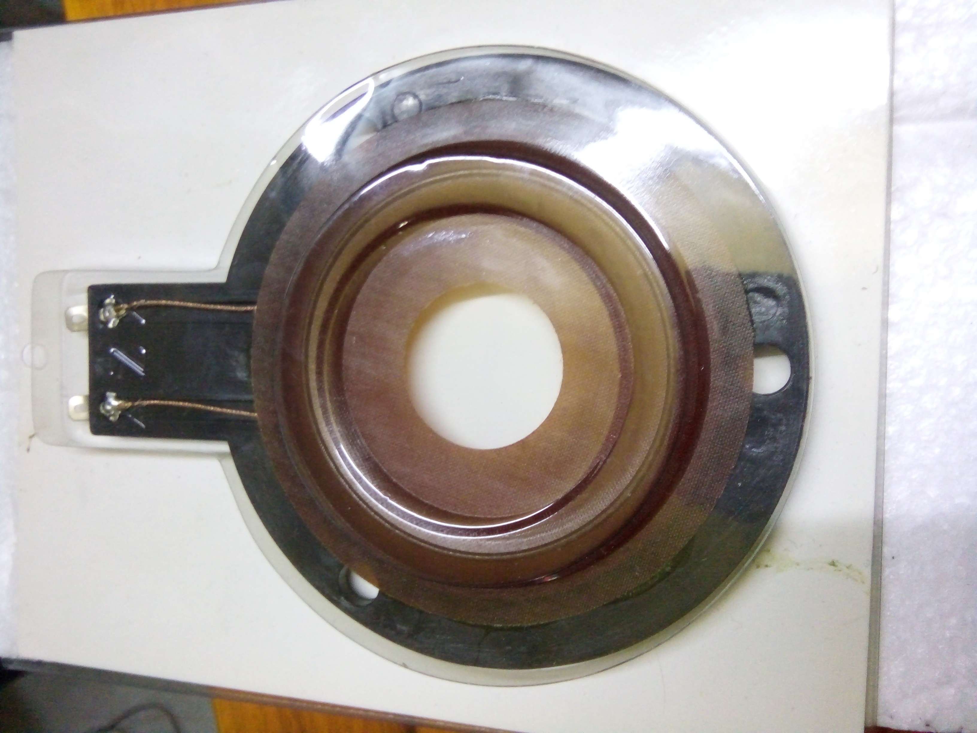 2 coil treble luu đan
