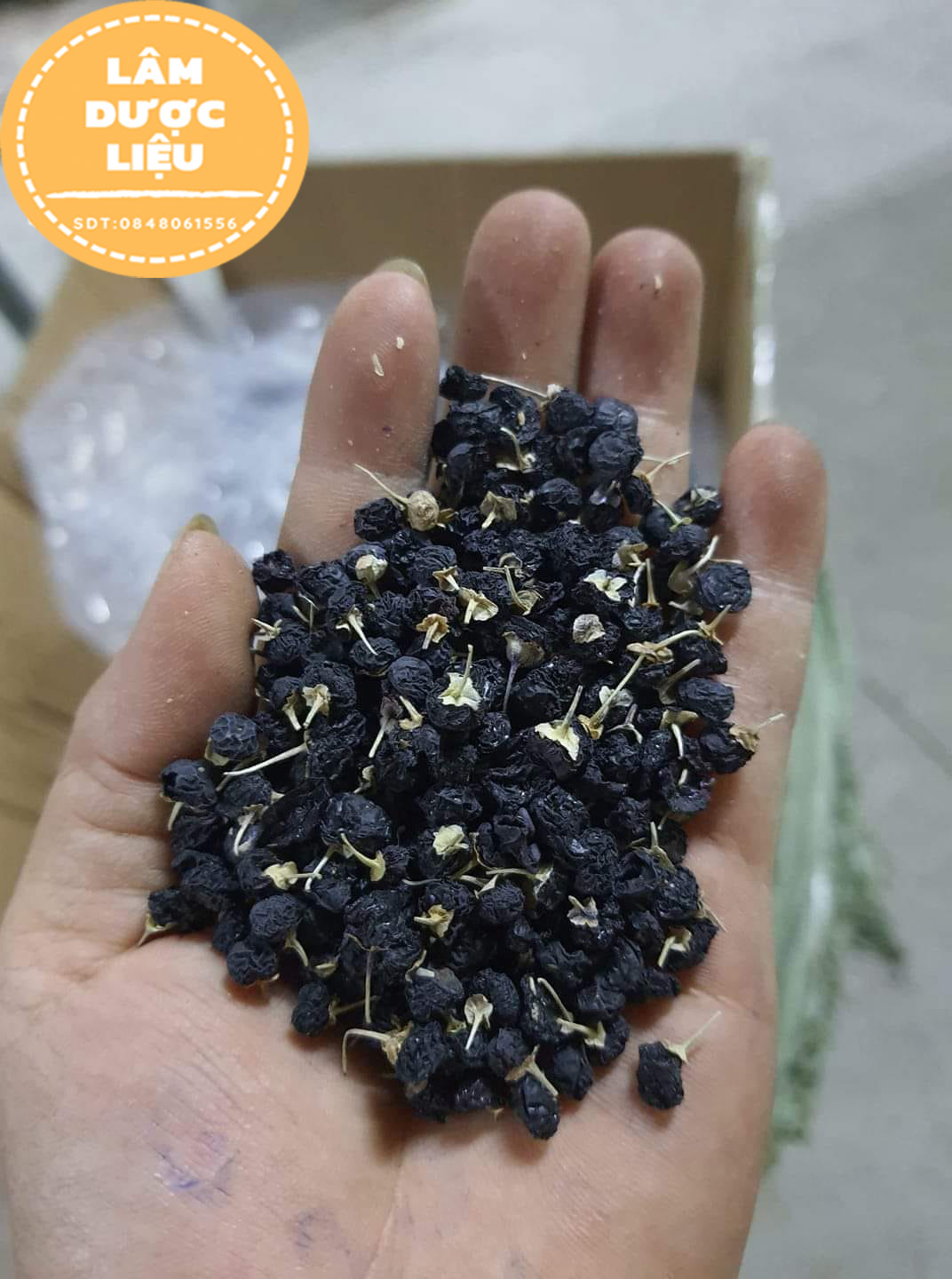 [HÀNG LOẠI 1] 1kg Hắc Kỷ Tử Tây Tạng ( chống lão hóa, đẹp da )