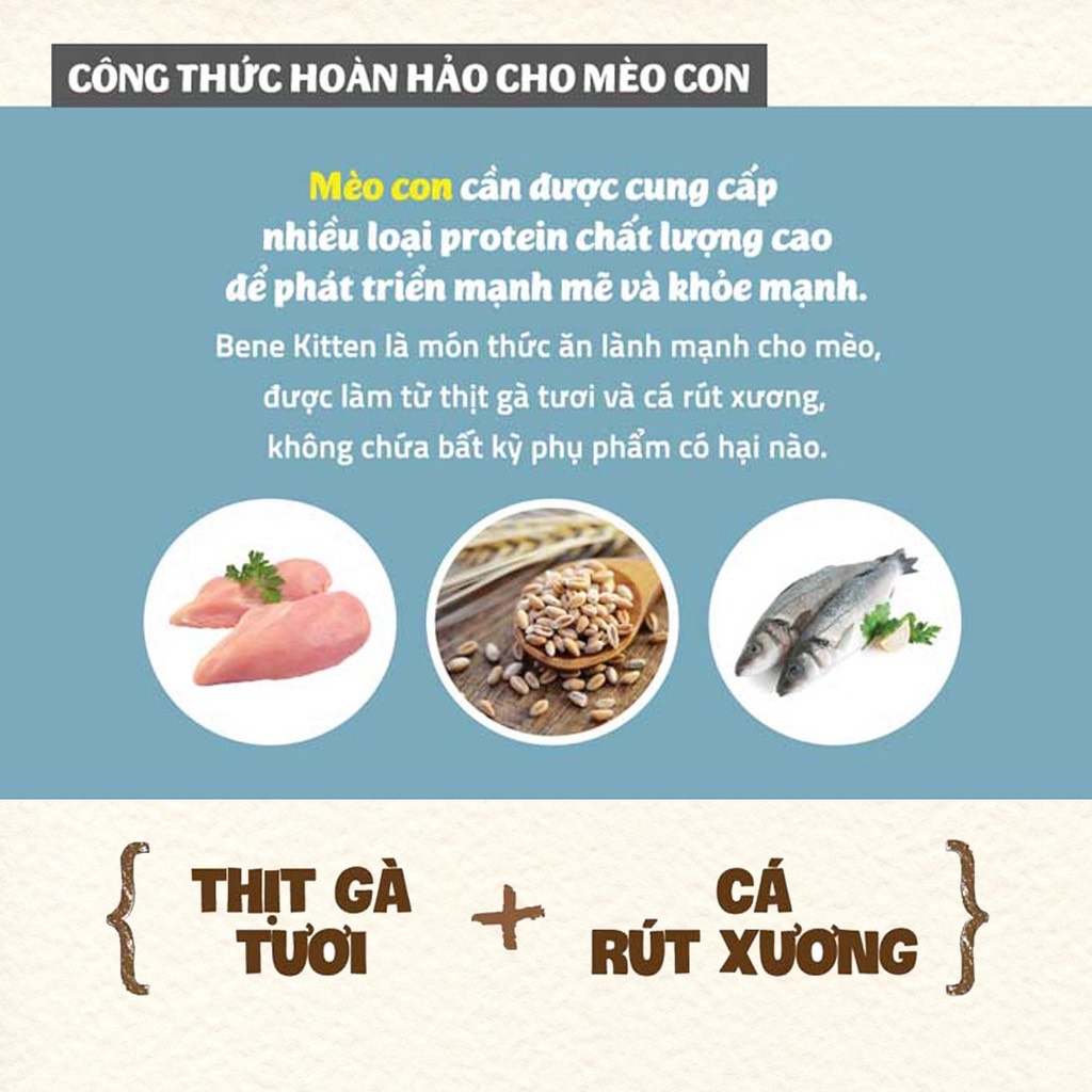 Hạt hữu cơ cho Mèo con Natural Core Bene C1, gói 400g
