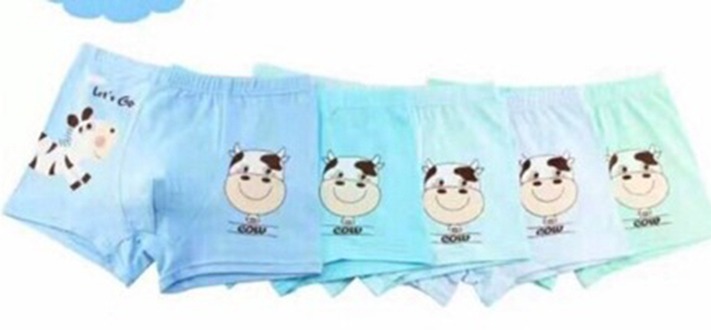 COMBO 5 QUẦN CHIP BÉ TRAI THUN SỊN IN ĐẸP (20-25kg)