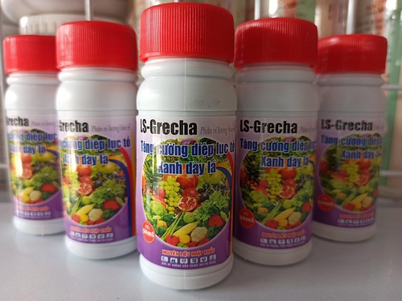 Phân vi lượng bón rễ - LS - Grecha - 50ml