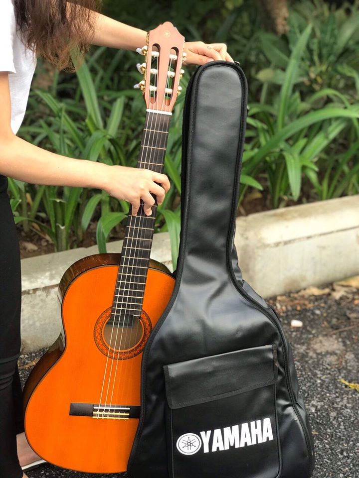 bao đàn guitar