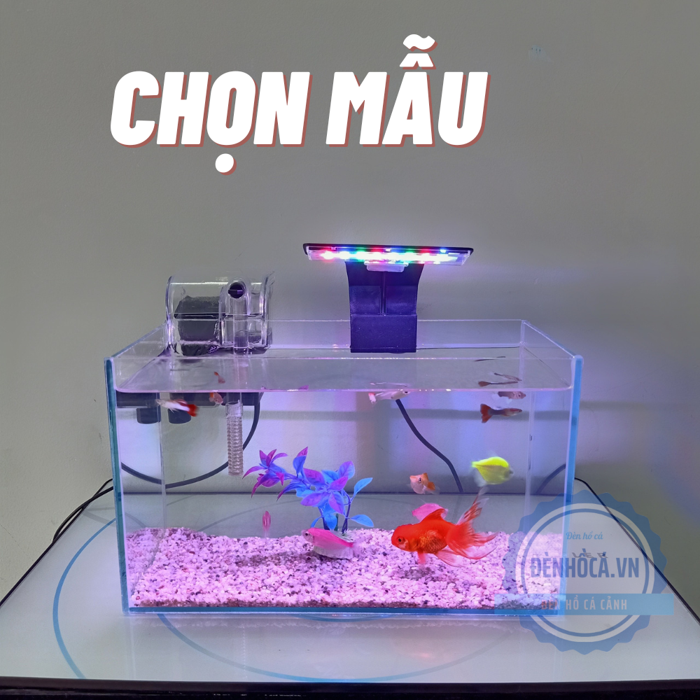 Bể cá mini 30cm COMBO đầy đủ phụ kiện