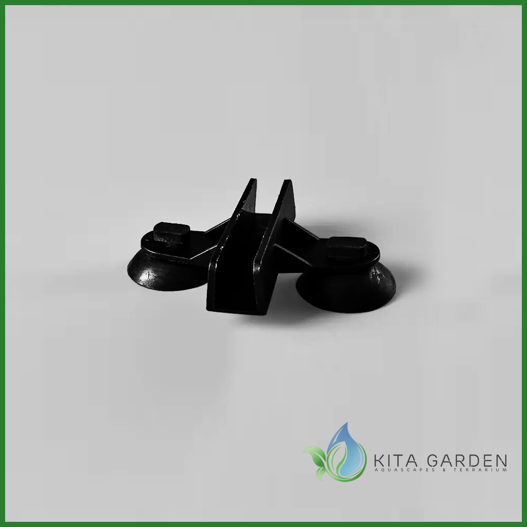 Hít giữ tấm vách nhựa ngăn hồ cá