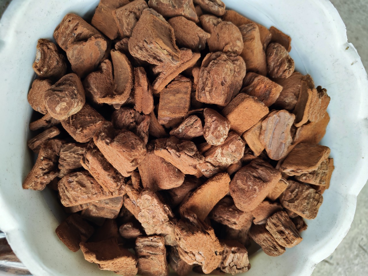 Vỏ thông trồng lan dánh tròn đầu, đã được xử lý