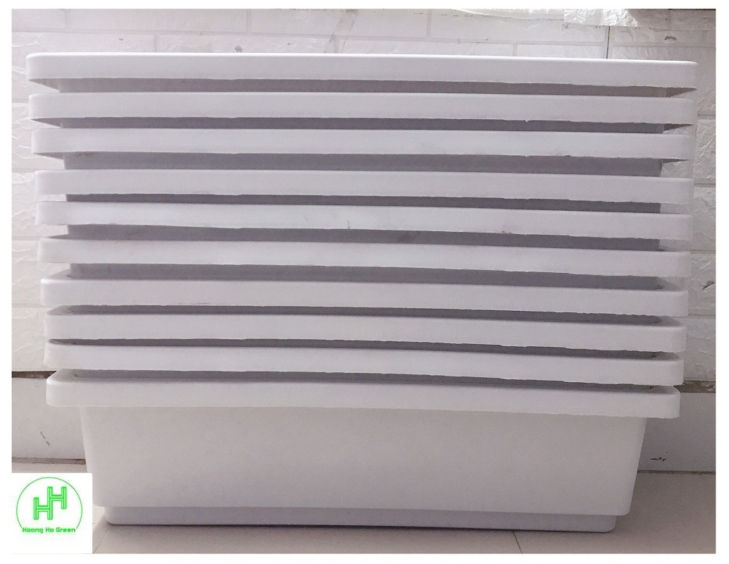 10 Chậu/ Khay/ Máng Nhựa Trồng Rau, Trồng Hoa, Cây Cảnh Kích Thước 60X20X16Cm - Màu Trắng