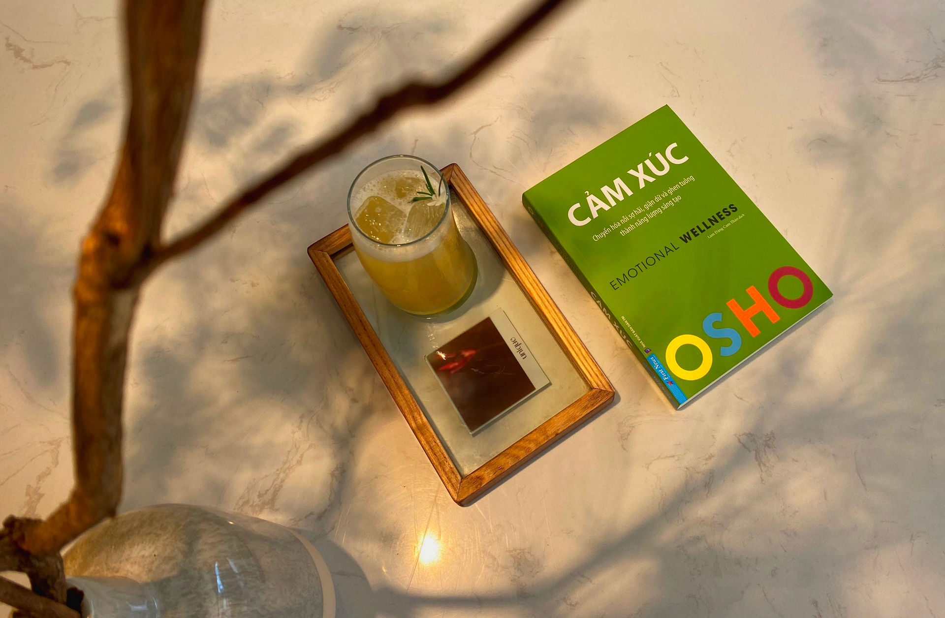 Sách OSHO Cảm Xúc - Emotional Wellness (FN)