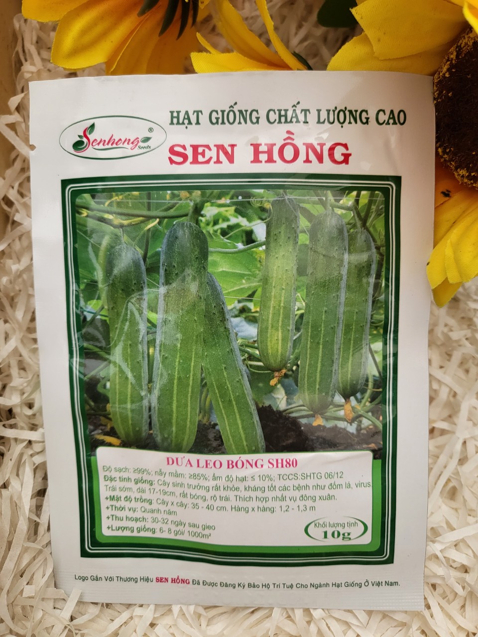 Hạt giống dưa leo lai f1 sen hồng sh 80