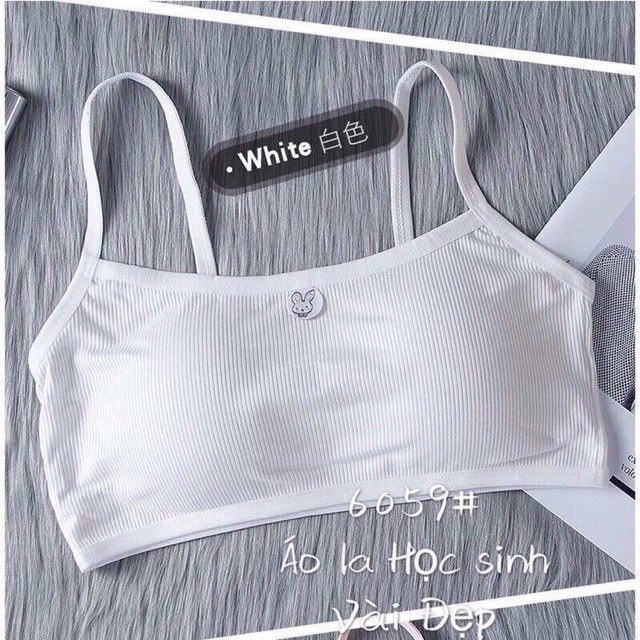 [Hoàn tiền 25%] Áo Bra Thỏ Học Sinh Cotton Đẹp