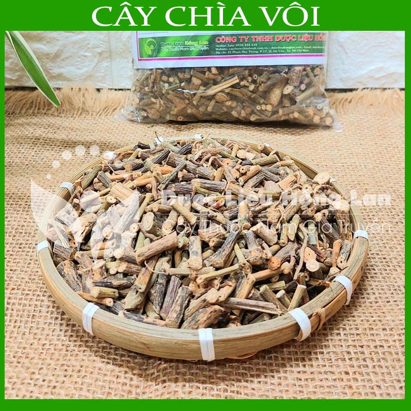 Dược liệu cây chìa vôi khô sạch đóng gói 500gram