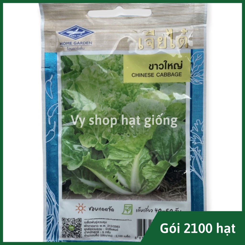 Hạt giống rau cải bẹ dúm (dún, dúng, nhúng) Thái Lan gói 2100 hạt