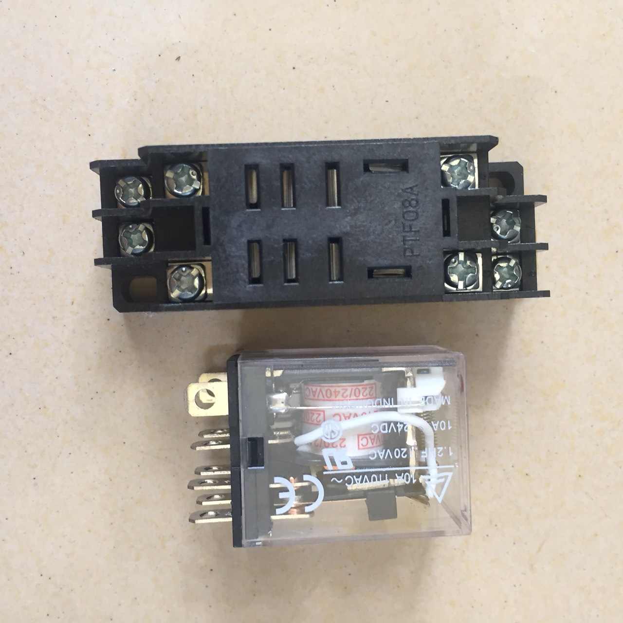 [SP000349] RƠ LE KIẾNG [10A 220V] [8 CHÂN]