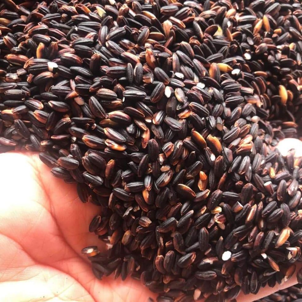 Gạo nếp Cẩm 5Kg