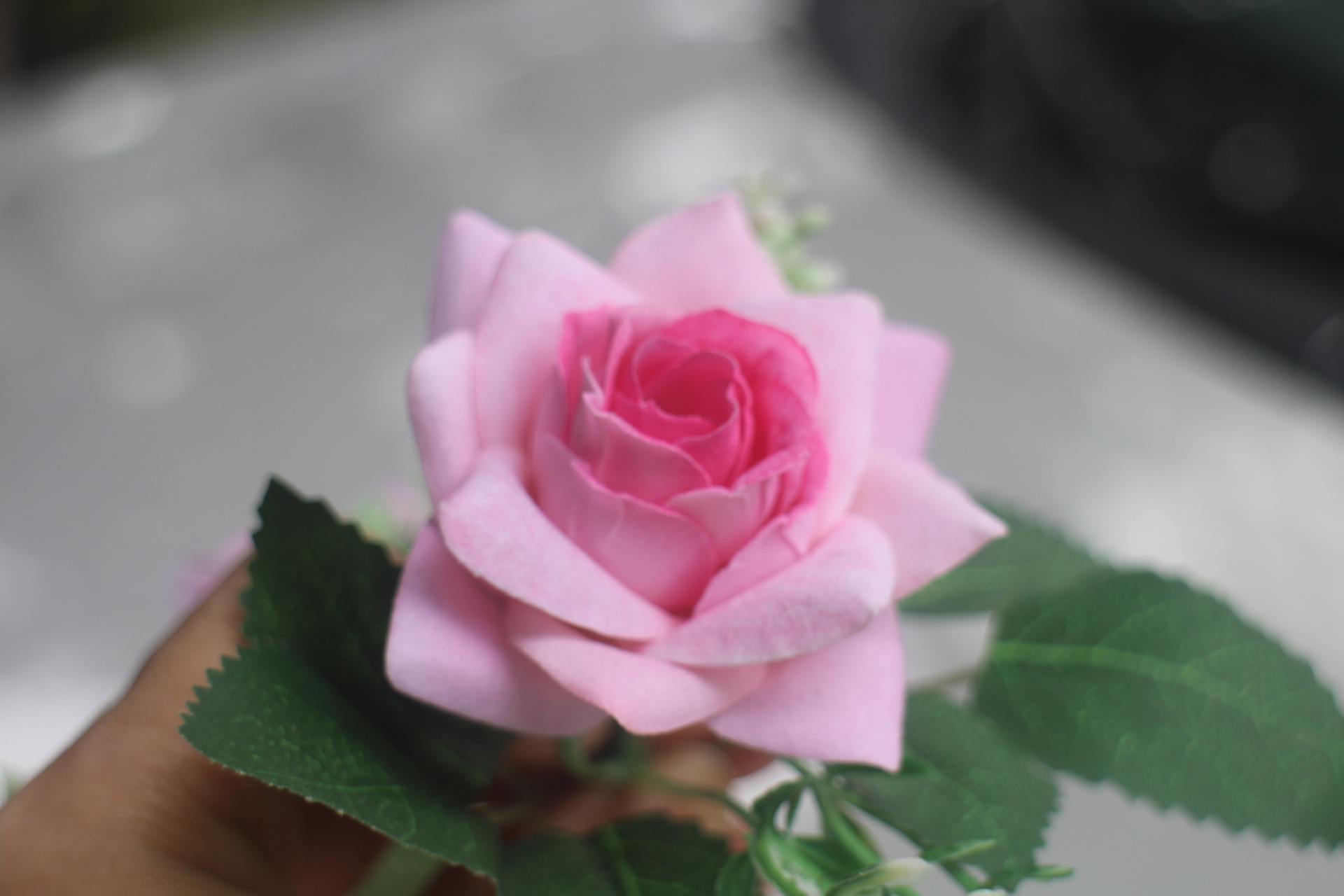 Cành hoa hồng nhung 7 bông cỡ nhỏ cao cấp- Hoa lụa