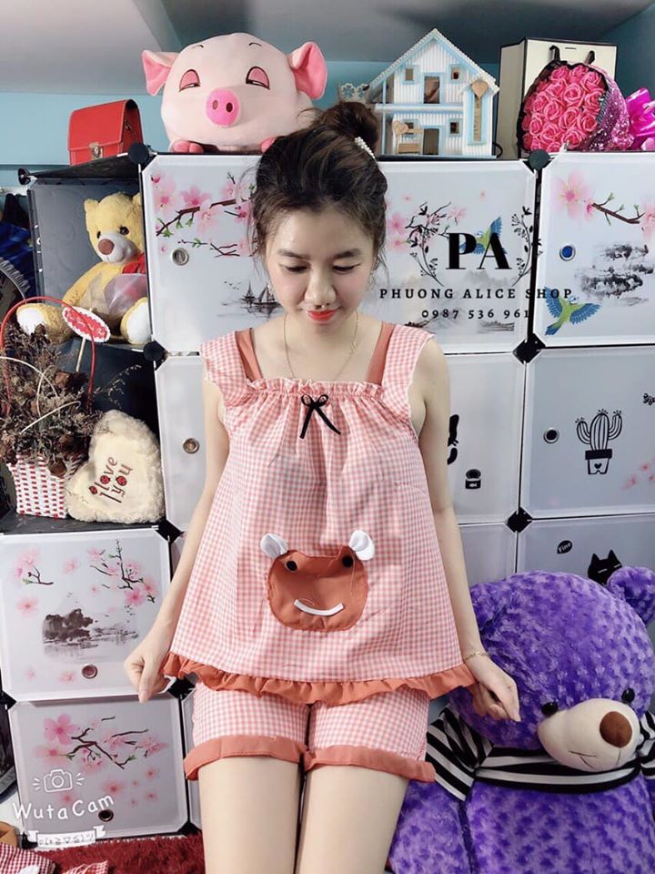 com bo giá sỉ 3 bộ đùi mặc nhà màu lộn xộn