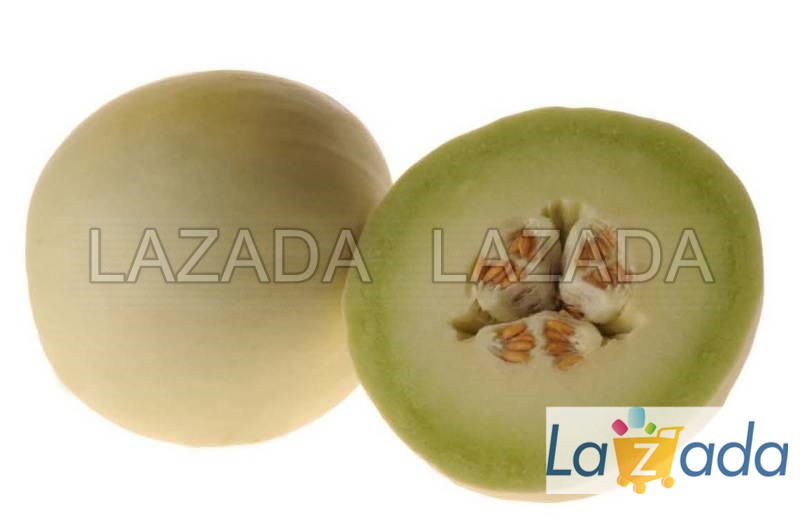 25.HAT Hạt Giống Dưa Lê Siêu Ngọt Brix15 Ship Tốt TG20 (TLA0| A2*V43*M220)