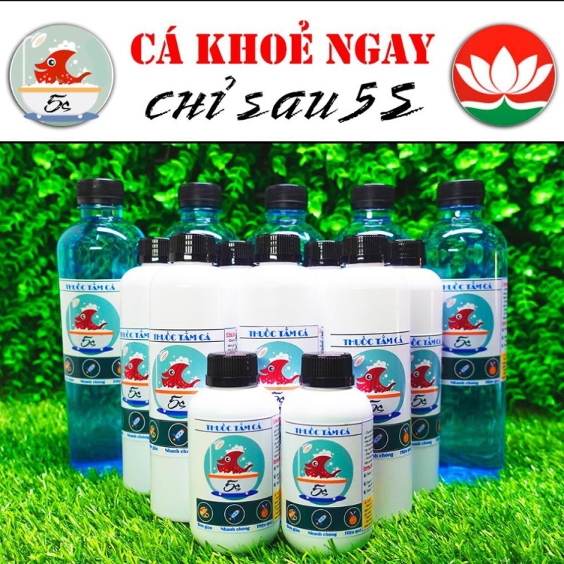 ♠◇ gigilove shop Cá Khoẻ Ngay Chỉ Sau 5s - Tắm Cá 5s
