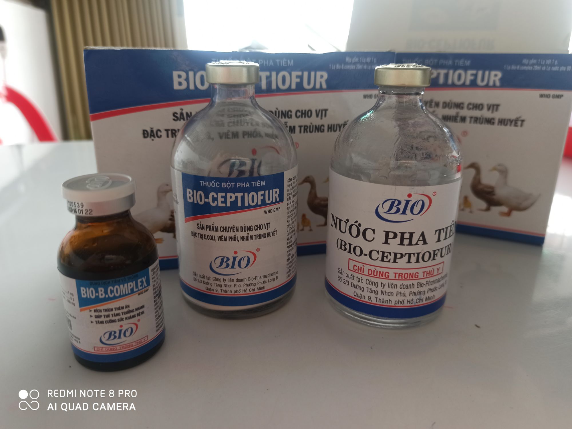 Bộ pha Tiêm ecoli bại huyết cho vịt