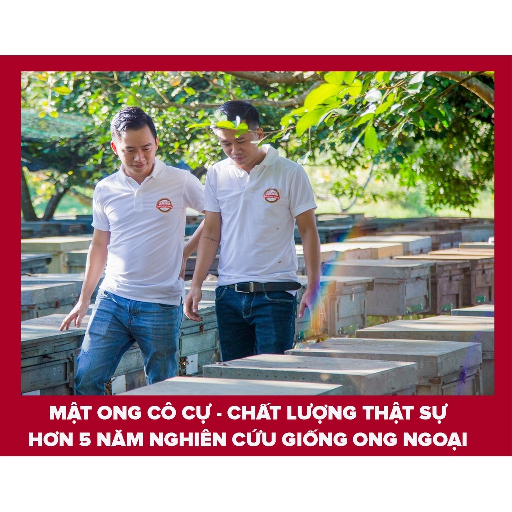 Mật ong nguyên chất 1 lít Đặc sản Cô Cự