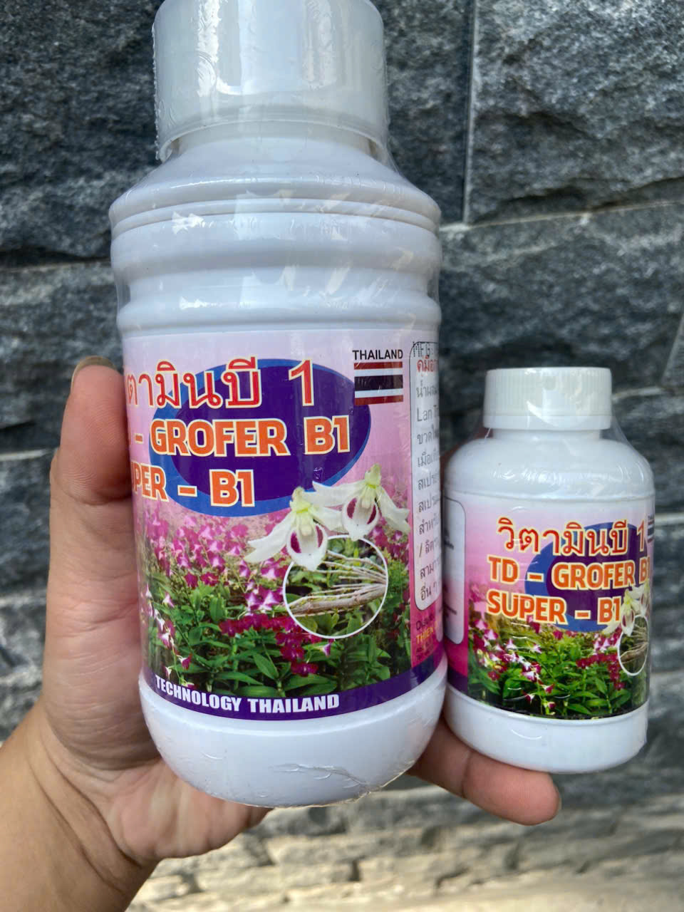B1 Grofer – Phân Bón Dưỡng Rễ Thái Lan ! B1 Thái Trắng !