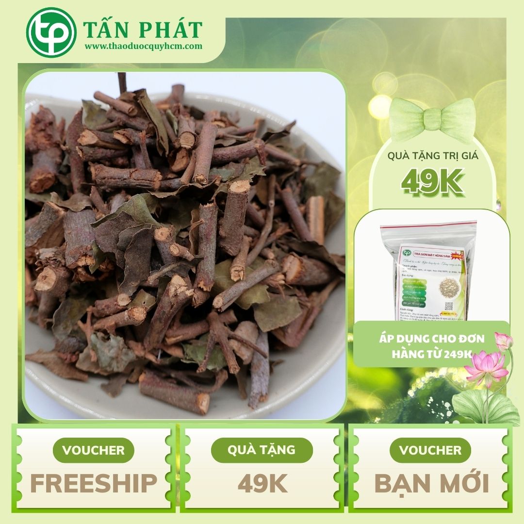 Dried Wormwood 500g - High Quality Company Product with the Best Price on the Vietnamese Market - Tan Phat Herbal Medicine