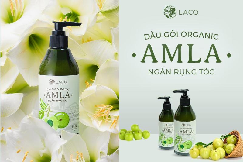 Dầu gội dầu ngăn rụng tóc AMLA ORGACNIC, không chứa hóa chất, ngăn gãy rụng và kích thích mọc tóc - Chai 300ml giá rẻ