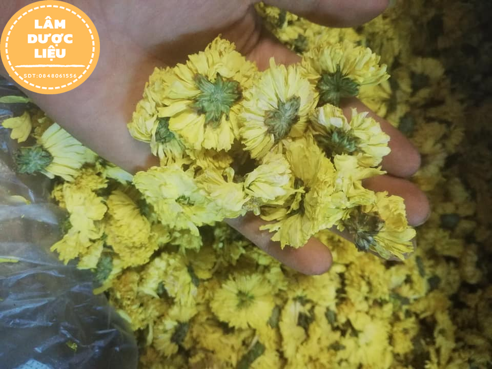 [HÀNG LOẠI 1] 100g Trà Hoa Cúc Vàng Sấy Khô
