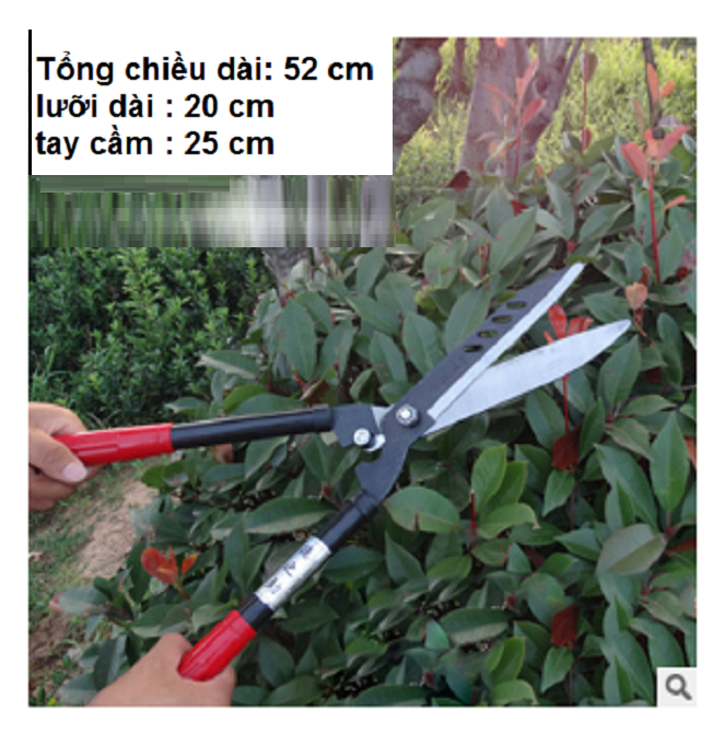 kéo cắt tỉa hàng rào, cây cảnh
