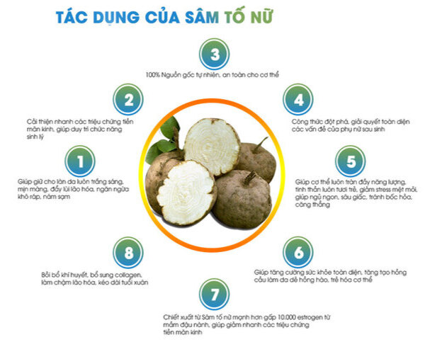 Cây sâm tố nữ khô 1kg