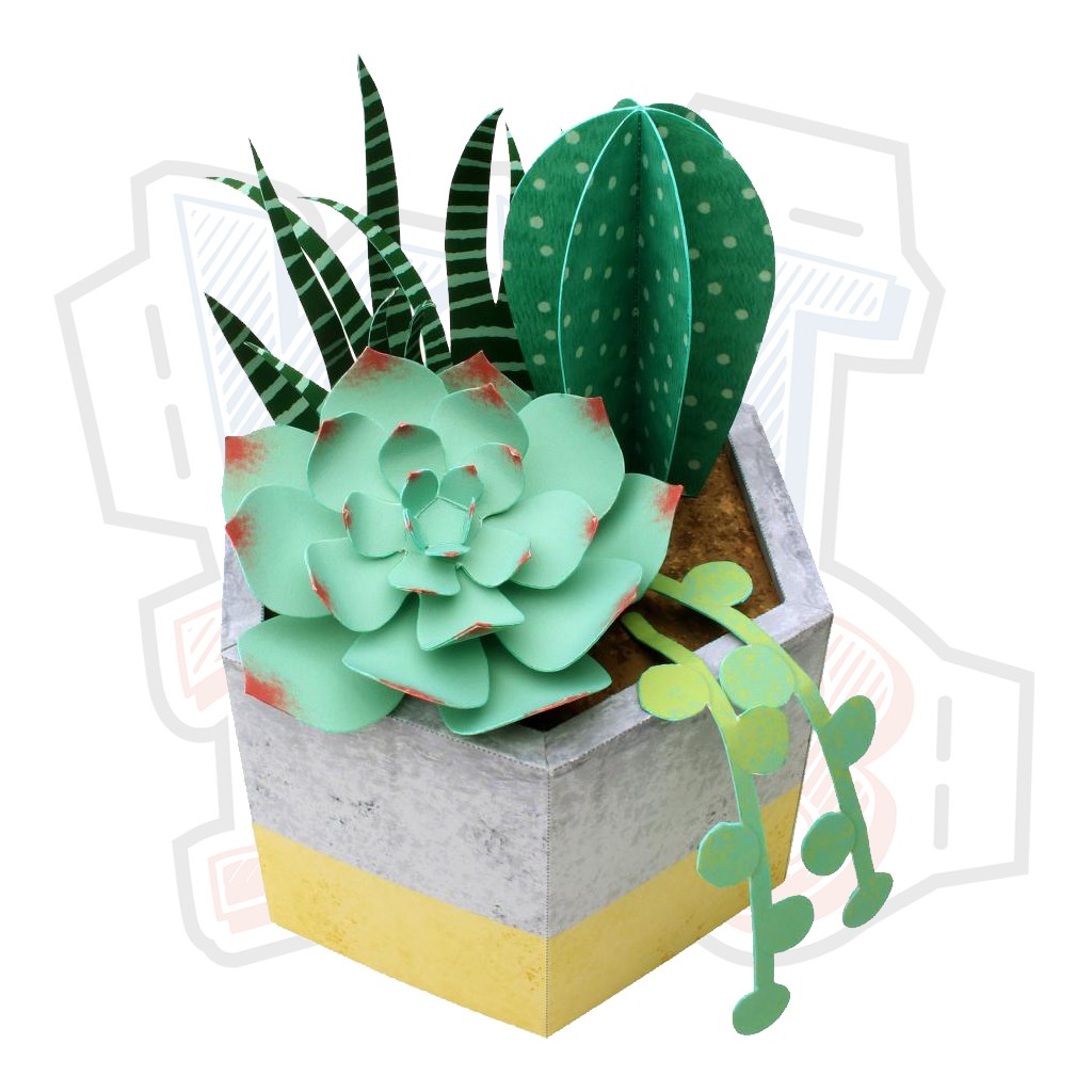 Mô hình giấy Cây cảnh Sen đá