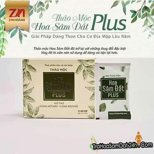 Combo 2 hộp trà giảm cân Hoa Sâm Đất Plus