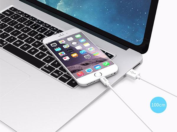 Dây cáp sạc cho Iphone dài 30cm Bagi – IB30