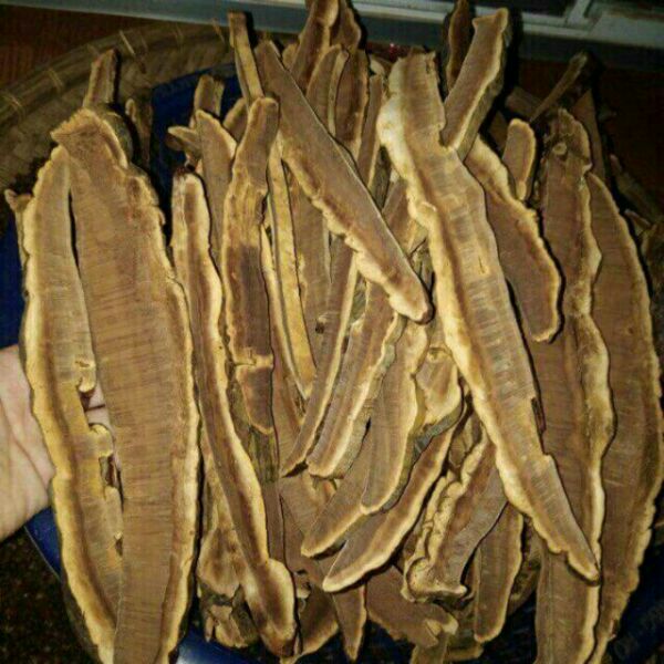 500g nấm linh chi đỏ