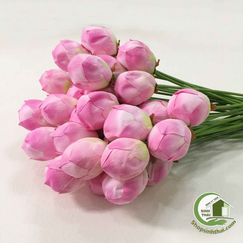 [HCM]Cành hoa sen giả - cành sen vải lụa cao cấp