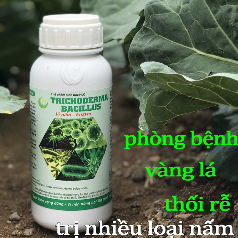 [HCM]Chế phẩm sinh học TRICHODERMA BACILLUS tiêu diệt các loại nấm hại 500ml-76112