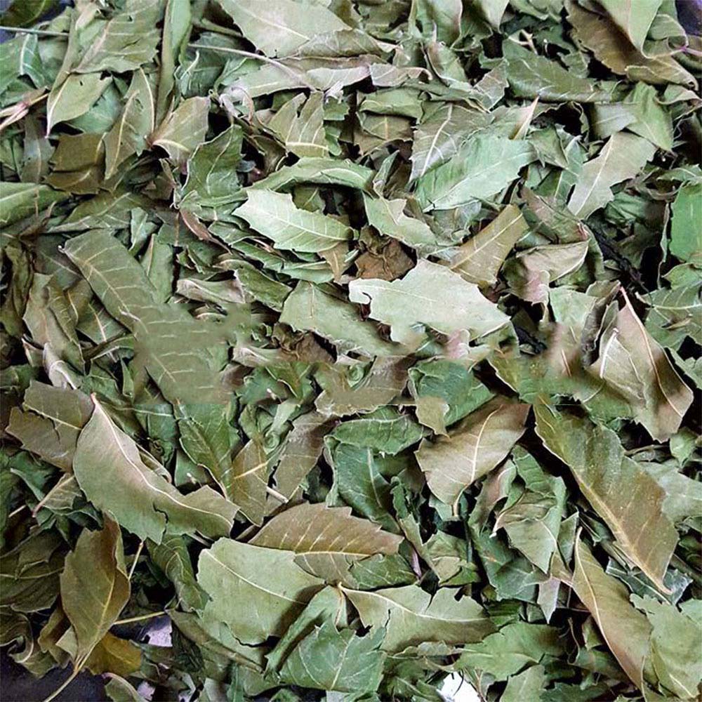 Lá nem Ấn Độ khô 1kg - Thảo Dược Tấn Phát